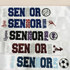 graduation sash, senior 2025 sash, graduate 2025, Personalized Sash, Custom Sash, graduate sash, Glitter Sash