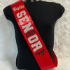 graduation gift, college graduation, Photo Prop, senior photo prop ,class of 2025 sash, gift for senior 2025.