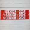 graduation gift, college graduation, Photo Prop, senior photo prop, class of 2025 sash, gift for senior 2025