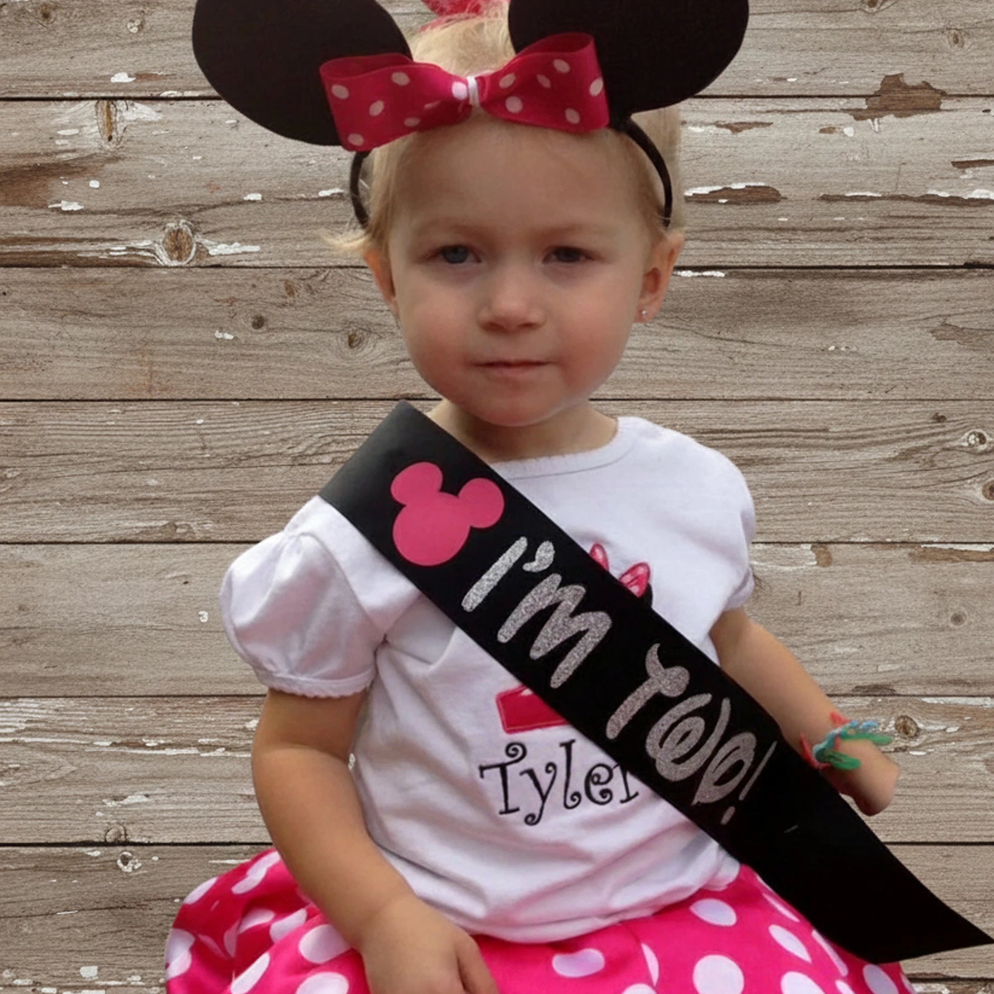 Party Sash, Baby Shower Sash, Personalized Sash, Custom Sash, Birthday Sash, Customized Sash, Prom Sash