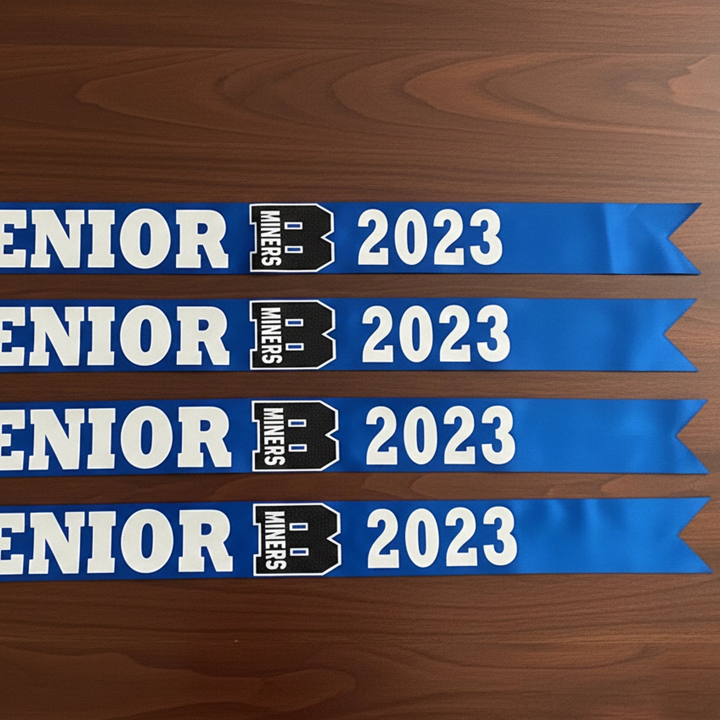 senior photo prop, class of 2025 sash, gift for senior 2025,graduation sash, senior 2025 sash